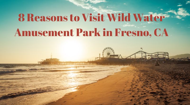 8 Reasons to Visit Wild Water Amusement Park in Fresno, CA