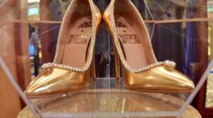 The 20 most expensive shoes in the World Today (19)