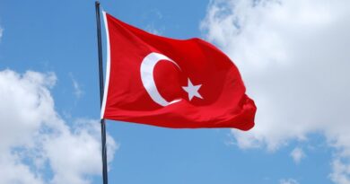 Report Turkishmade Libyastanley Gizmodo