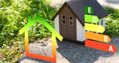 The Art of Making Energy-Efficient Houses: Green by Design